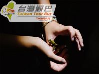 潭岸夜觀～奇遇鯉魚潭生態一日遊