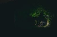 潭岸夜觀～奇遇鯉魚潭生態一日遊