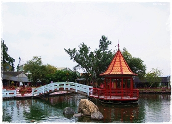 六十石山 金色花海 花東縱谷之美一日遊 七月 八月花季 東岸旅行社 花蓮台東旅遊 團體旅遊 包車旅遊 泛舟賞鯨 溯溪浮潛最優選的專業旅行社